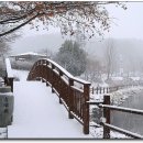 설봉공원 이미지