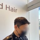 디우드헤어(d'wood hair)