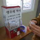 초은목장 네이버블로그