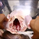 엄나무삼계탕 이미지