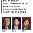 김종인 "김여사 명태균 휴대전화로 '남편 만나달라'"...의혹 어디까지.. 이미지