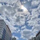 솔아름약국 이미지