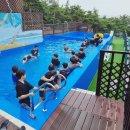대천통나무펜션솔내음민박 | 대천 숙소 보령 단체 펜션 갯벌체험,수영장 보령 가족펜션 대천해수욕장 숙소 추천