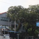 산포별장 이미지