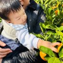 정후농장 이미지