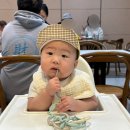 정이농장 | 6개월 아기와 우당탕탕 대만 타이중 여행 Day 2 (칭징농장, 일월담)