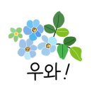 닥터카테일링 이미지