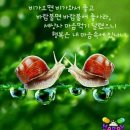 노노메디칼 이미지