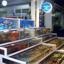 대천항수산물시장 이미지