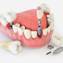 제이디치과의원 이미지