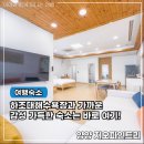파인트리 이미지