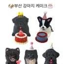 댕댕바게트 이미지