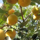 보금농장 이미지