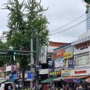 한농종묘농약사 이미지