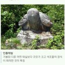 [한국사 이야기] 효심 가득한 어진 임금 : 인종 이미지