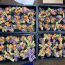 전주풍남유치원 이미지