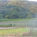 경안천 운학동 이미지