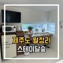 달숲스테이 | [제주] 스테이달숲 토리룸 : 월정리 가성비 감성숙소 추천 후기