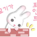 다이어트CellTox셀톡스