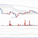 (주)넥스트아이 이미지