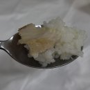 매일 밥상 | [제주] 서귀포 생선구이 맛집, 제주할망밥상 산방산 본점 내돈내산 짧은 후기