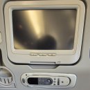 4코스 | 도쿄 주말 여행: 때이른 벚꽃 구경 / 풀만 호텔 Kasa 디너 4코스 혼밥 후기