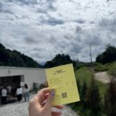 양떼목장 | 느닷여행(경기도 가평): 가평 양떼목장 내돈내산 후기