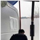 딩동댕애견스파풀빌라 이미지