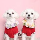 아루스튜디오 이미지