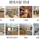 3월20~22일(금토일) 신비의 섬... 울릉도(성인봉+독도+육로관광) 이미지