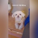 스테이수목 이미지