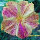 장자농장 이미지