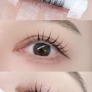 리나래쉬