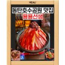 용용 이미지