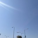 한일다실