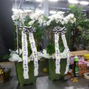 송생초등학교 이미지