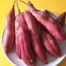 삼시한끼고구마 이미지