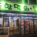 포항막회 - 성남시 분당구 구미동 | 포항막회