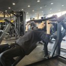 사우로 L 이미지