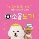 소울도기 이미지