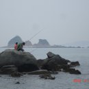 무창포해수욕장,새만금방조제,함평 육회비빔밥집... 이미지