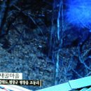 평창두부 이미지