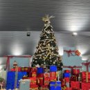 고요한꽃뜰 | 마나도 여행기²