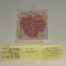 댕아지-댕댕이들이 아름다워지는 지금 이 순간 | [캐나다 워홀] 캐나다 토론토 워킹홀리데이 리얼후기, 캐나다 토론토 워홀 일상 5주차 (25.10.20-25.10.26)