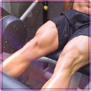 조형과 운동 이미지