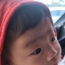 골드헤겔