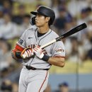 이정후 카카오 검색결과