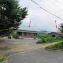 보체초등학교 이미지