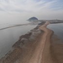 도리도