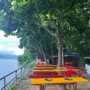 신정호국민관광지 대여소 | 아산 - 신정호수공원, 신정호 지방정원 &amp; 벚꽃길, 자전거 대여